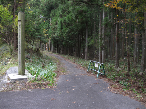 20141108hike (36)